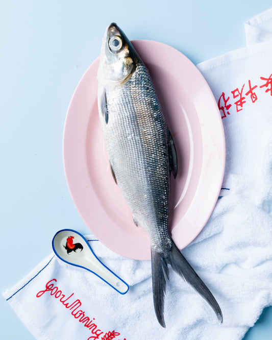 buy fresh fish in singapore