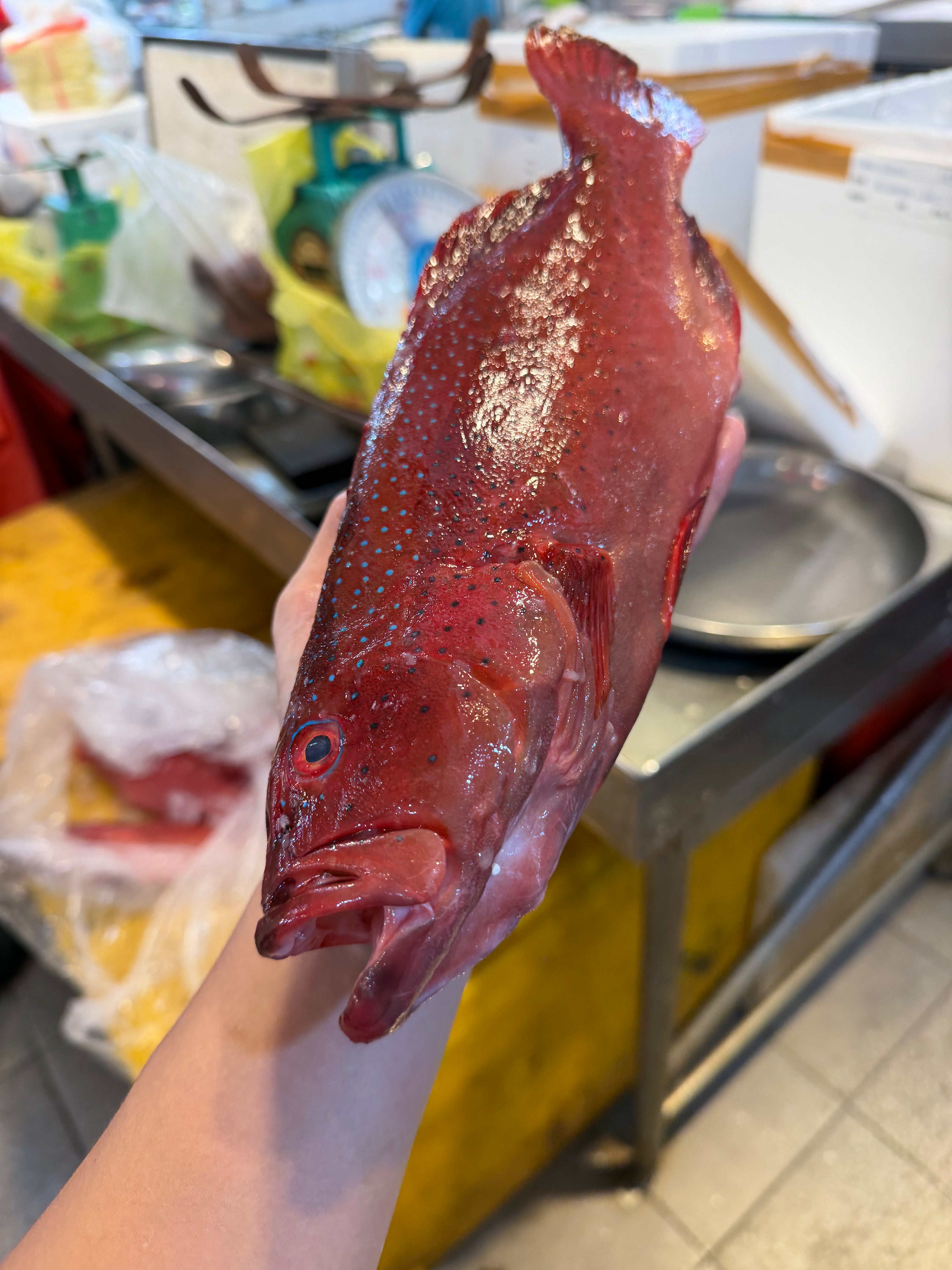 seafood supplier singapore