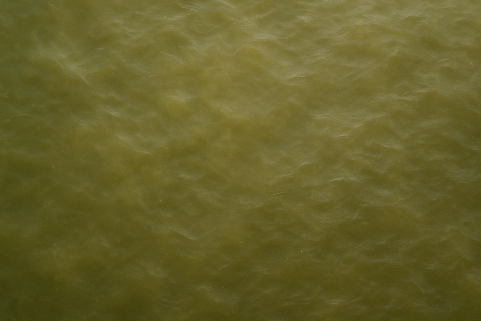 murky freshwater top view