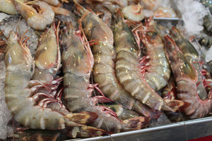 online seafood delivery for king Tiger Prawns
