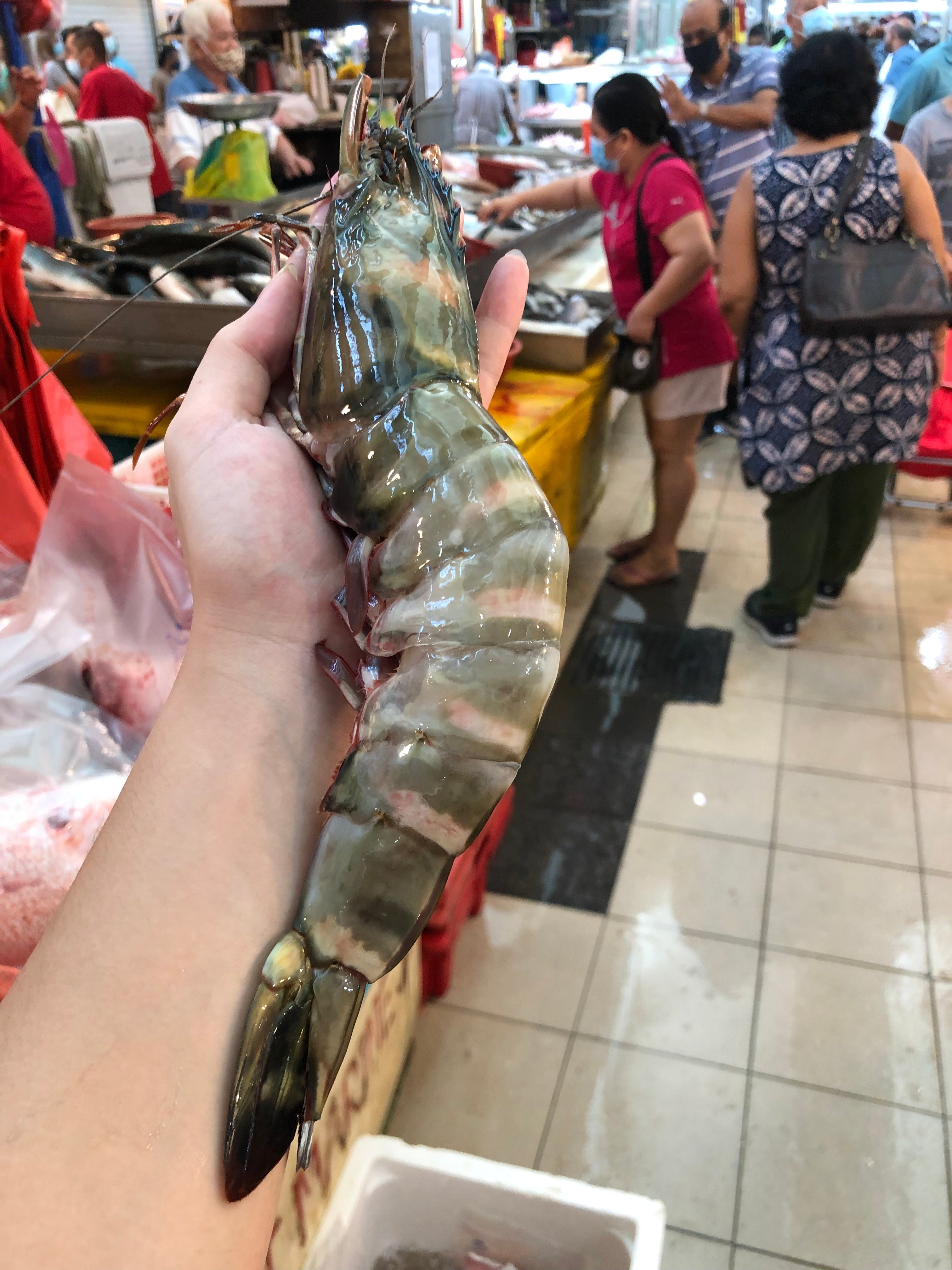fresh king Tiger Prawns in singapore