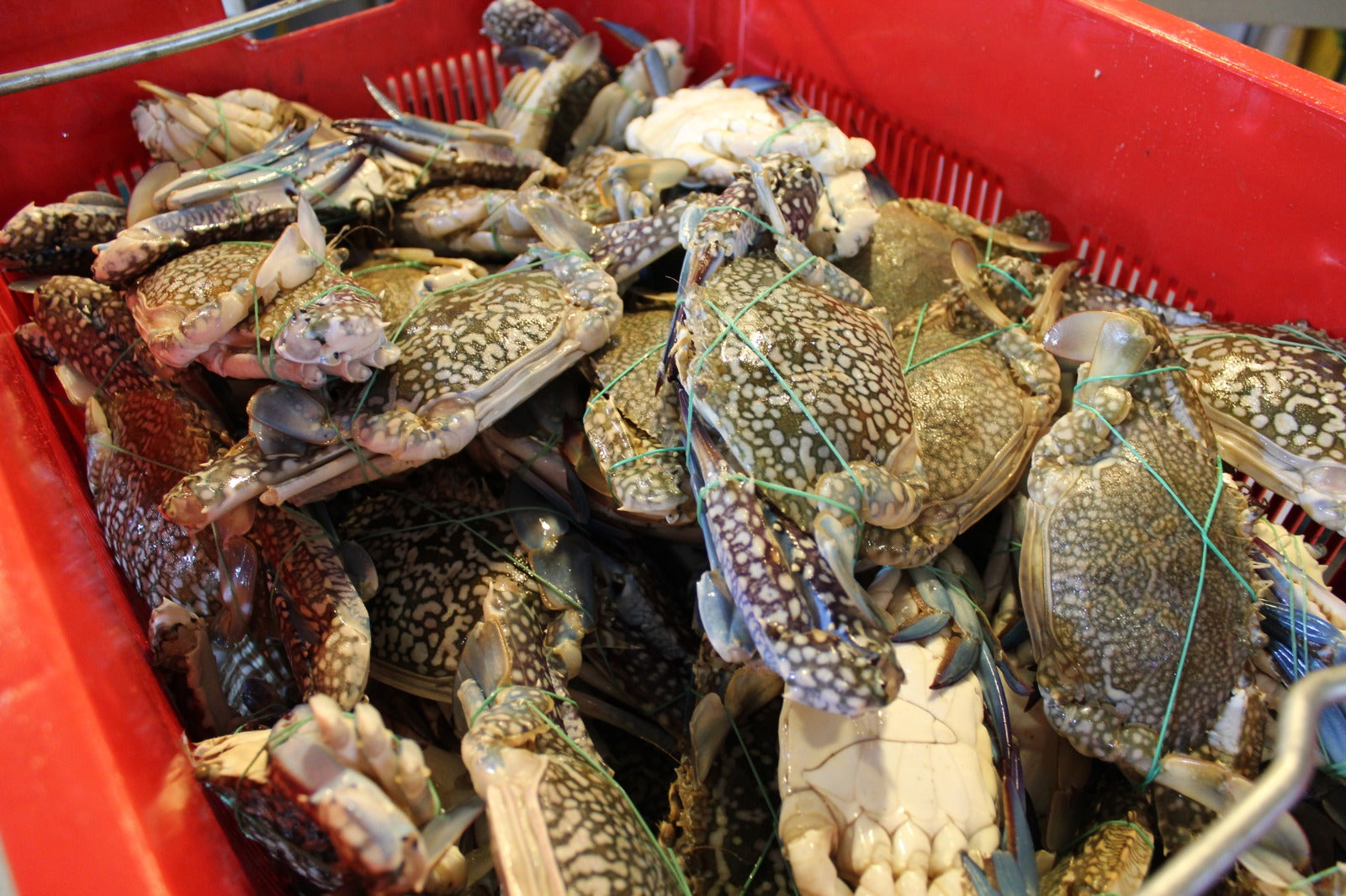 fresh Flower Crab 花蟹 singapore delivery