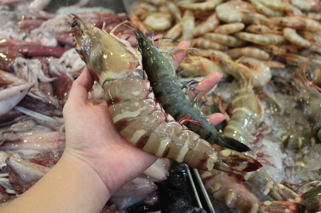 where to buy fresh king Tiger Prawns in singapore