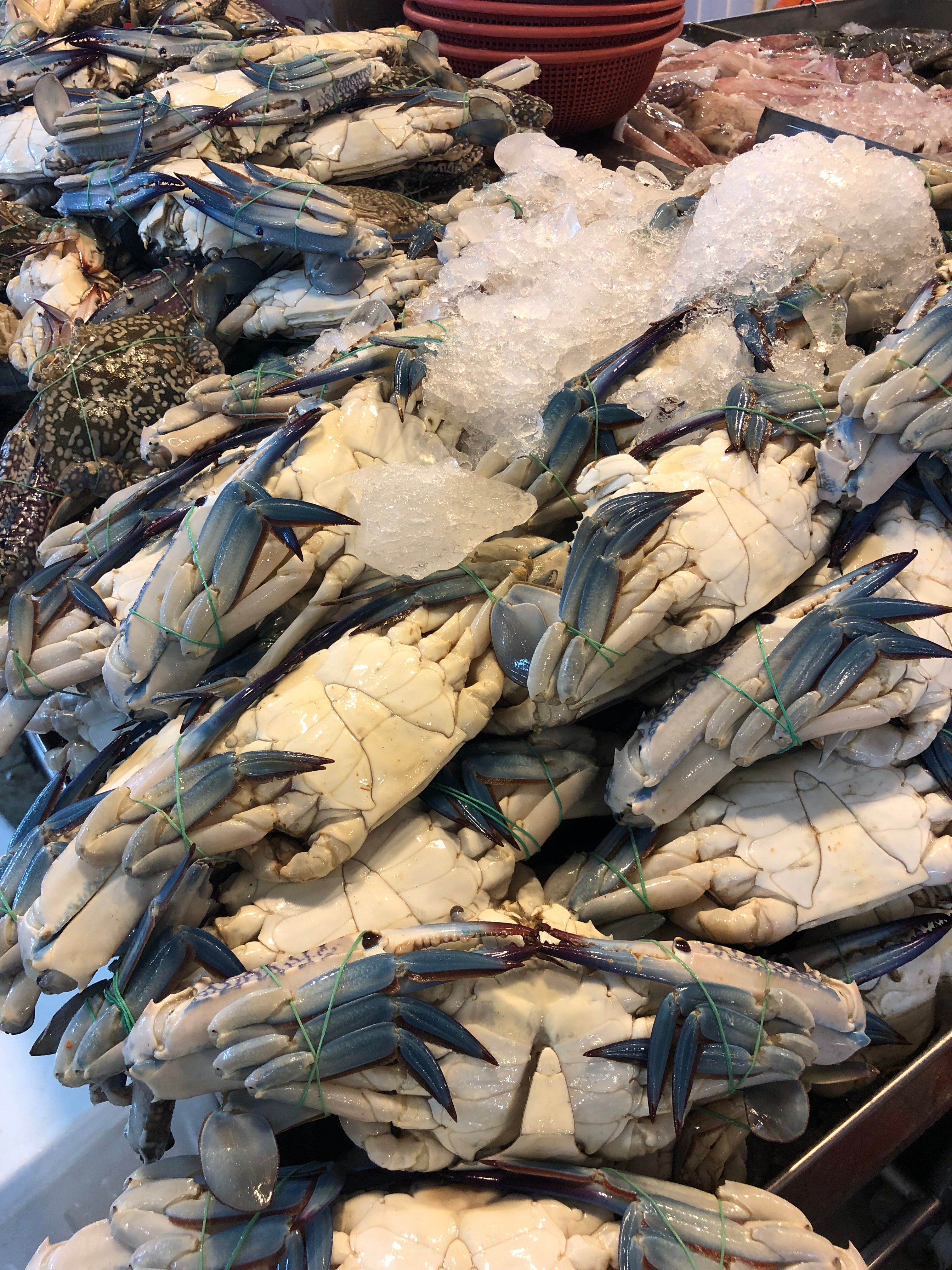singapore seafood delivery Flower Crab 花蟹 