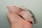 online seafood delivery for Threadfin |午鱼|