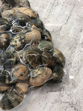 Load image into Gallery viewer, singapore seafood delivery Flower Clams 花啦 
