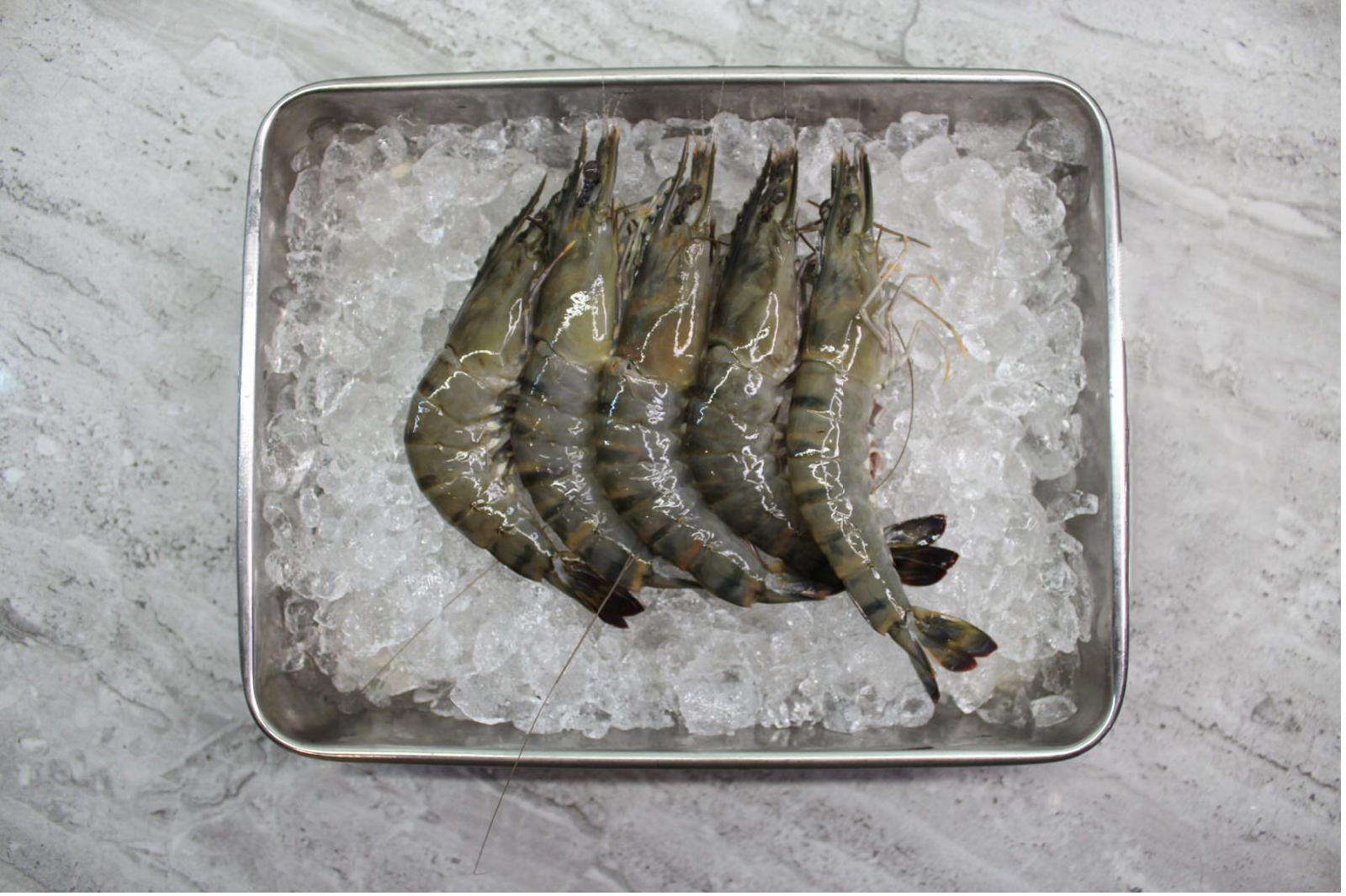 singapore seafood delivery Tiger Prawns 