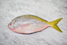 Load image into Gallery viewer, Yellowtail |黄尾鱼| in singapore
