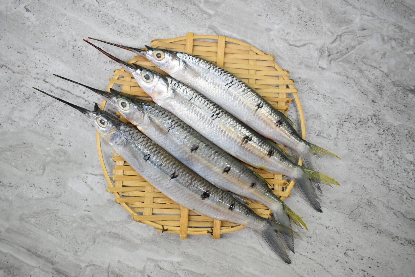 fresh Garfish in singapore