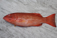Load image into Gallery viewer, online seafood delivery for Red Grouper |七星斑|
