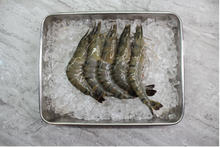 Load image into Gallery viewer, singapore seafood delivery Tiger Prawns 
