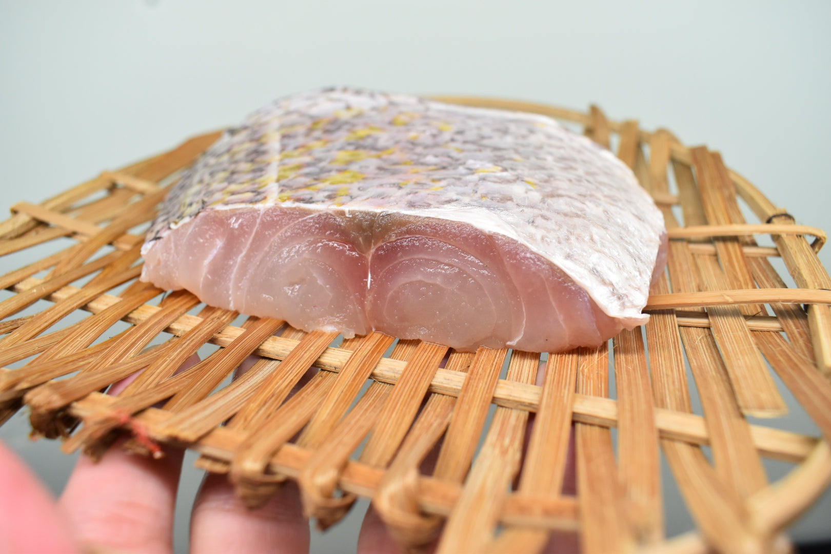 online seafood delivery Angoli |紅戈里|