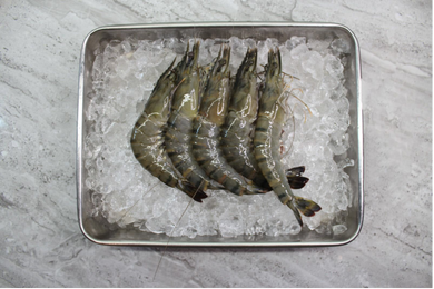 singapore seafood delivery Tiger Prawns 