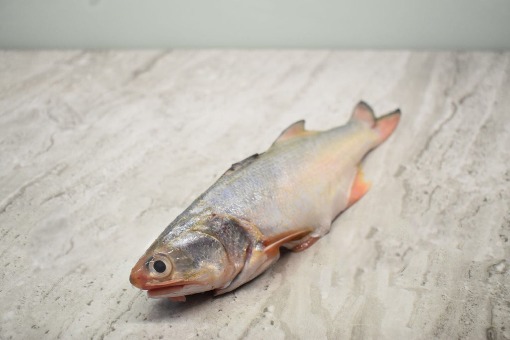 singapore seafood delivery