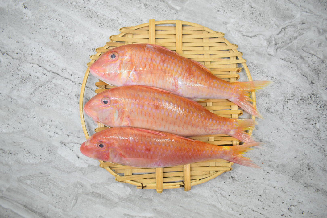 online seafood delivery for Red mullet |Goatfish| in singapore 