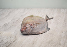 Load image into Gallery viewer, online seafood delivery for Black Pomfret |黑鲳鱼|
