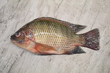 Load image into Gallery viewer, Tilapia
