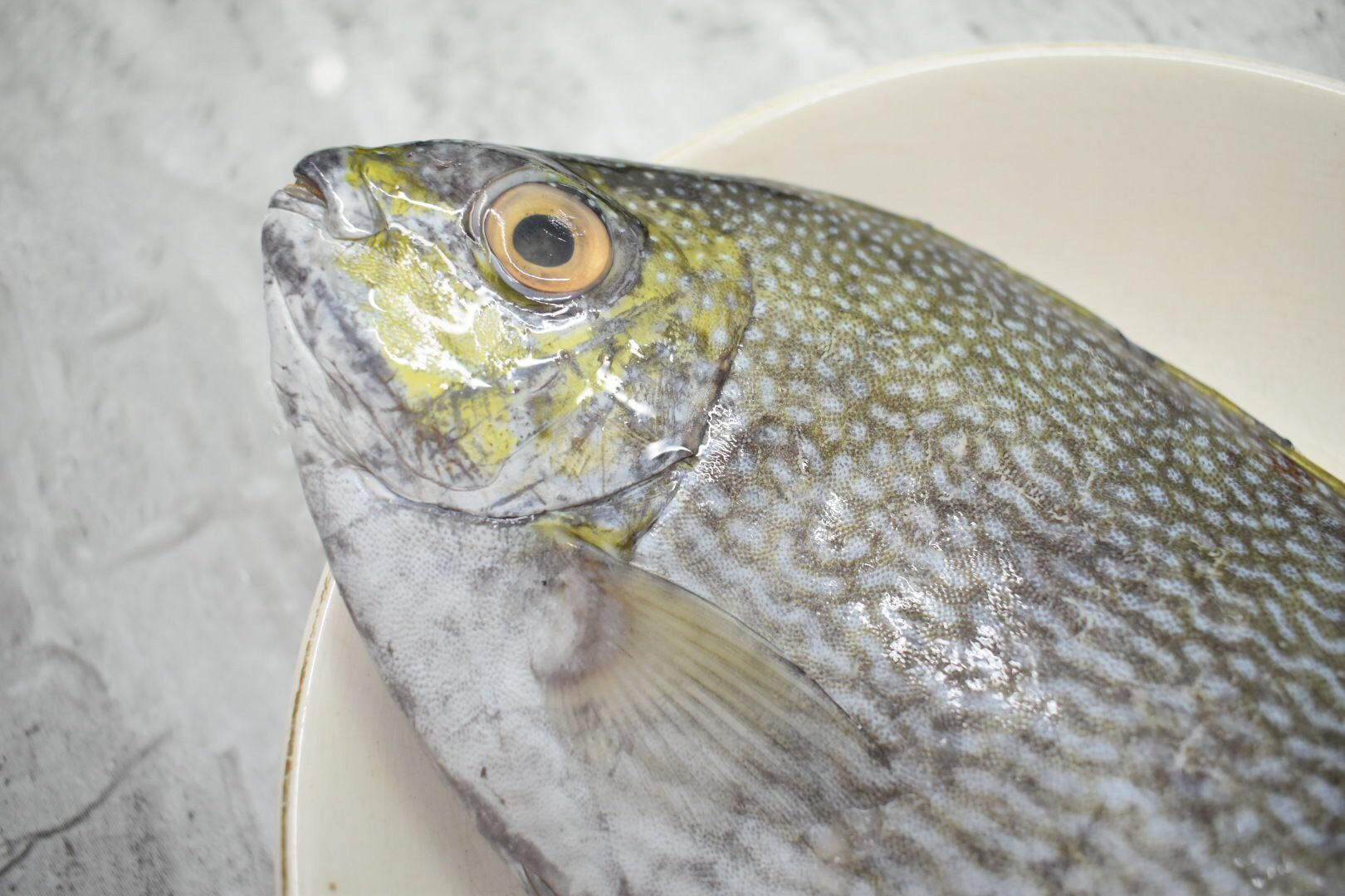 Rabbitfish |白肚鱼| [CNY] in singapore delivery