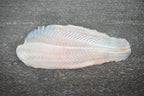 online seafood delivery Dory |多莉鱼| [fillet]