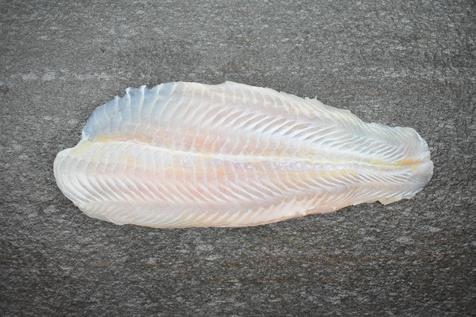 online seafood delivery Dory |多莉鱼| [fillet]