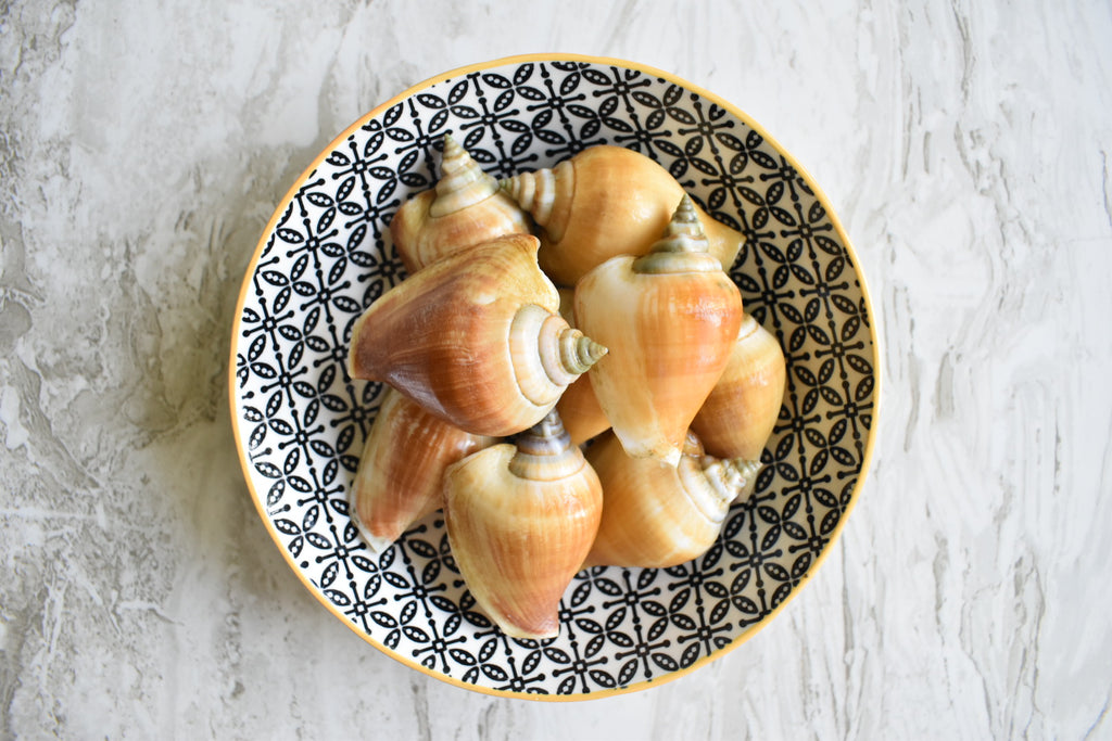 singapore seafood delivery