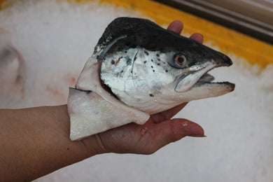 online seafood delivery for Salmon head |三文鱼头|