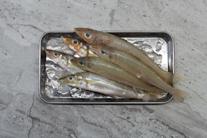 online seafood delivery for Smelt |沙尖| in singapore 