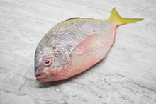 Load image into Gallery viewer, online seafood delivery for Yellowtail |黄尾鱼| in singapore 
