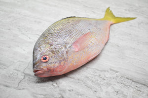 online seafood delivery for Yellowtail |黄尾鱼| in singapore 