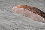Red Grouper |七星斑| [FILLET] in singapore