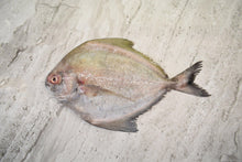 Load image into Gallery viewer, singapore seafood delivery for Black Pomfret |黑鲳鱼|
