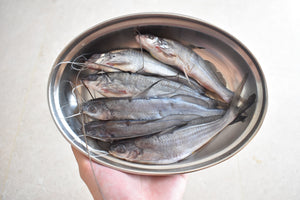 online seafood delivery for Tengra in singapore 