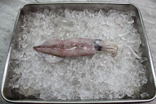 Load image into Gallery viewer, fresh Squid in singapore
