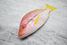 Load image into Gallery viewer, where to buy KEE fish |记鱼| in singapore
