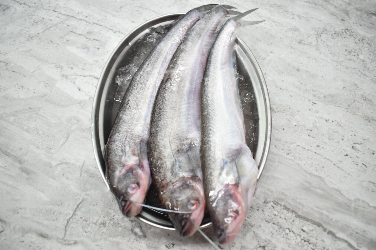 Pabda in singapore delivery