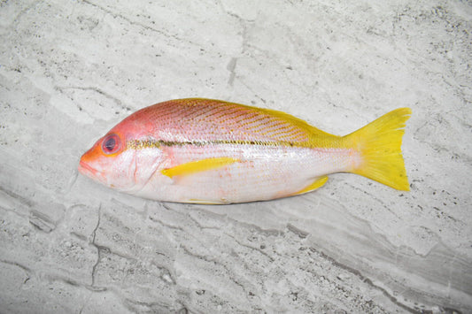 online seafood delivery for fresh KEE fish |记鱼| in singapore 