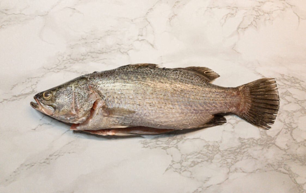 online seafood delivery for Sea Bass |金目鲈| in singapore 