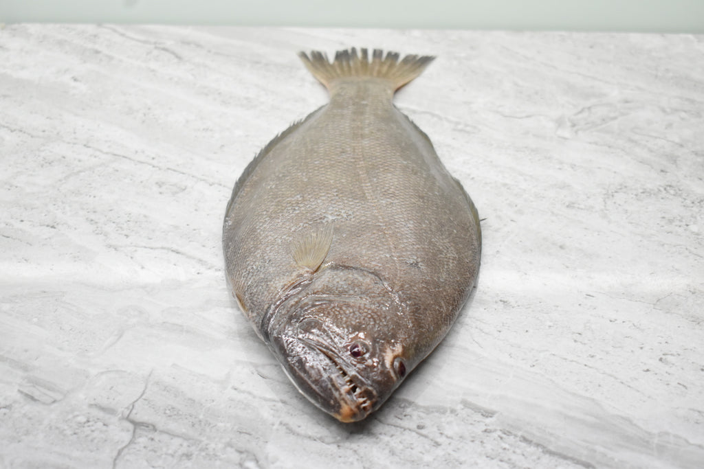 fresh Halibut 比目鱼 in singapore