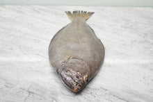 Load image into Gallery viewer, fresh Halibut 比目鱼 in singapore
