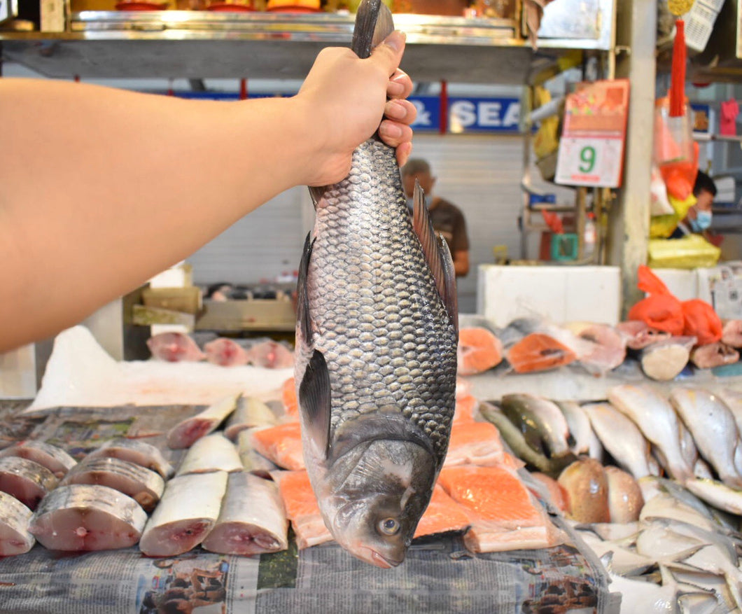 online seafood delivery Katla | catla | in singapore 
