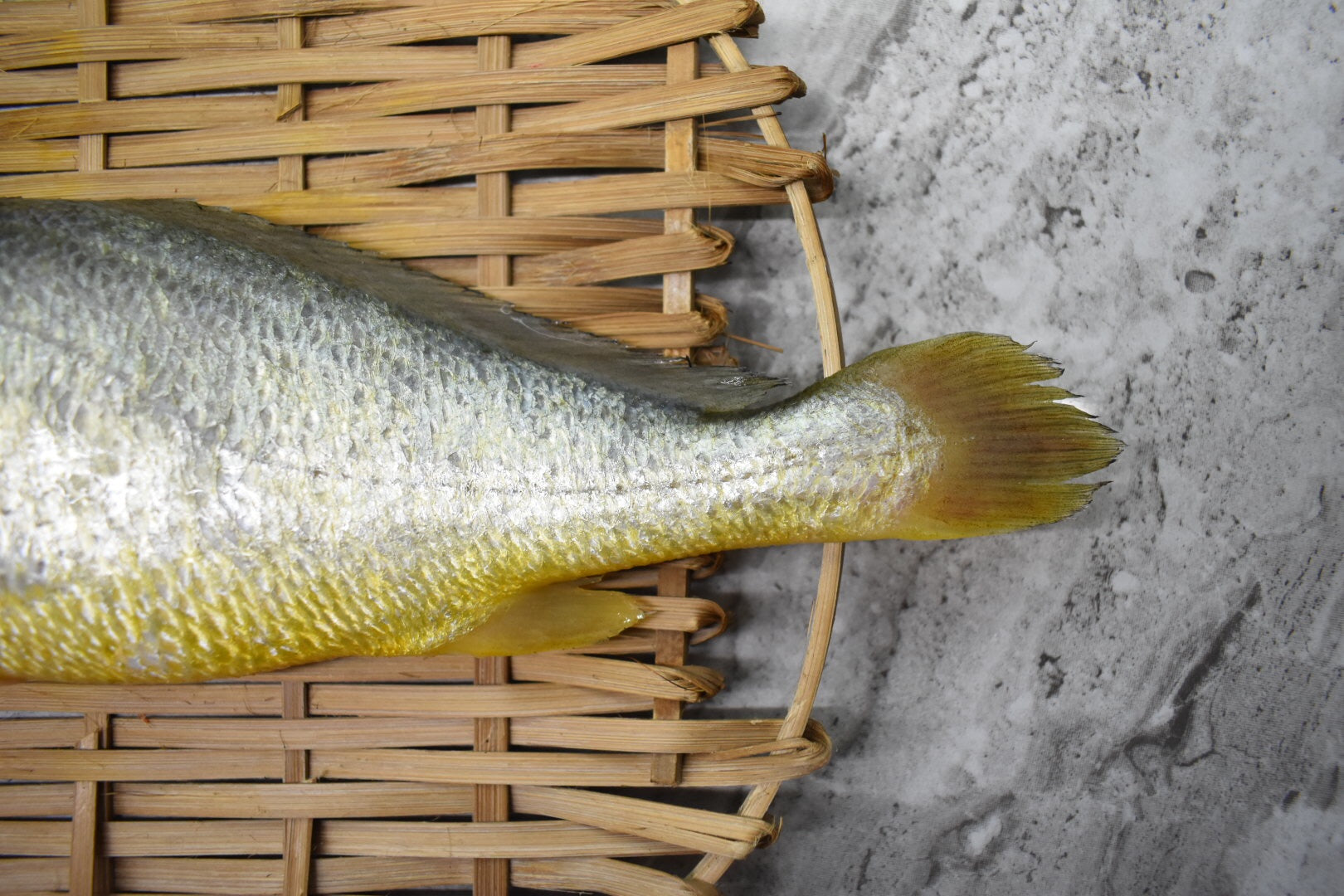 Yellow croaker |黄花鱼|