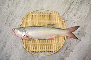 online seafood delivery for Baby threadfin |午鱼顺|